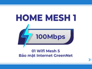 HOME MESH 1