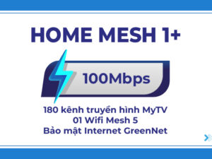 HOME MESH 1 +