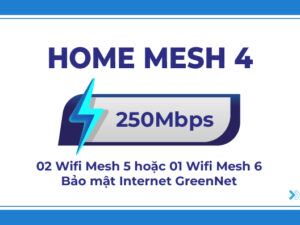 HOME MESH 4